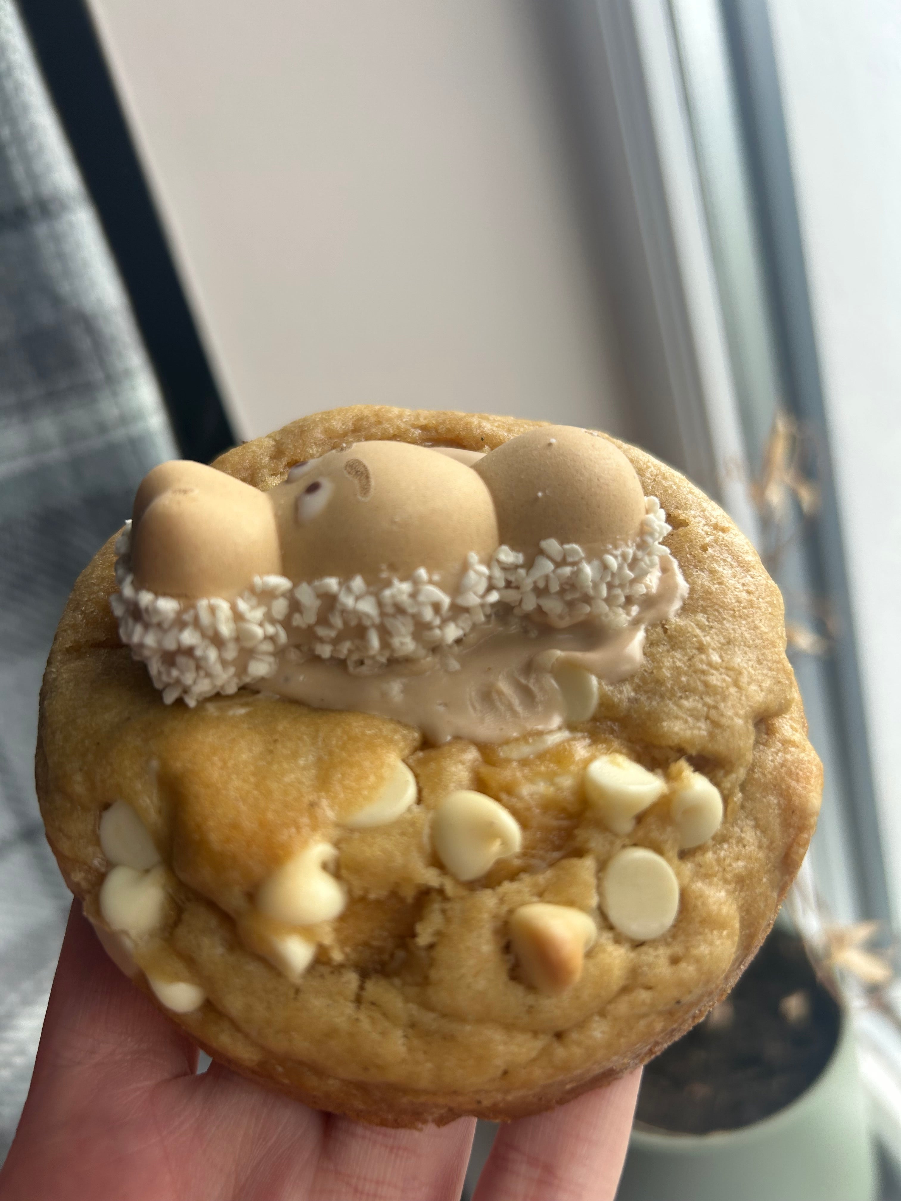 White hazelnut hippo cookie