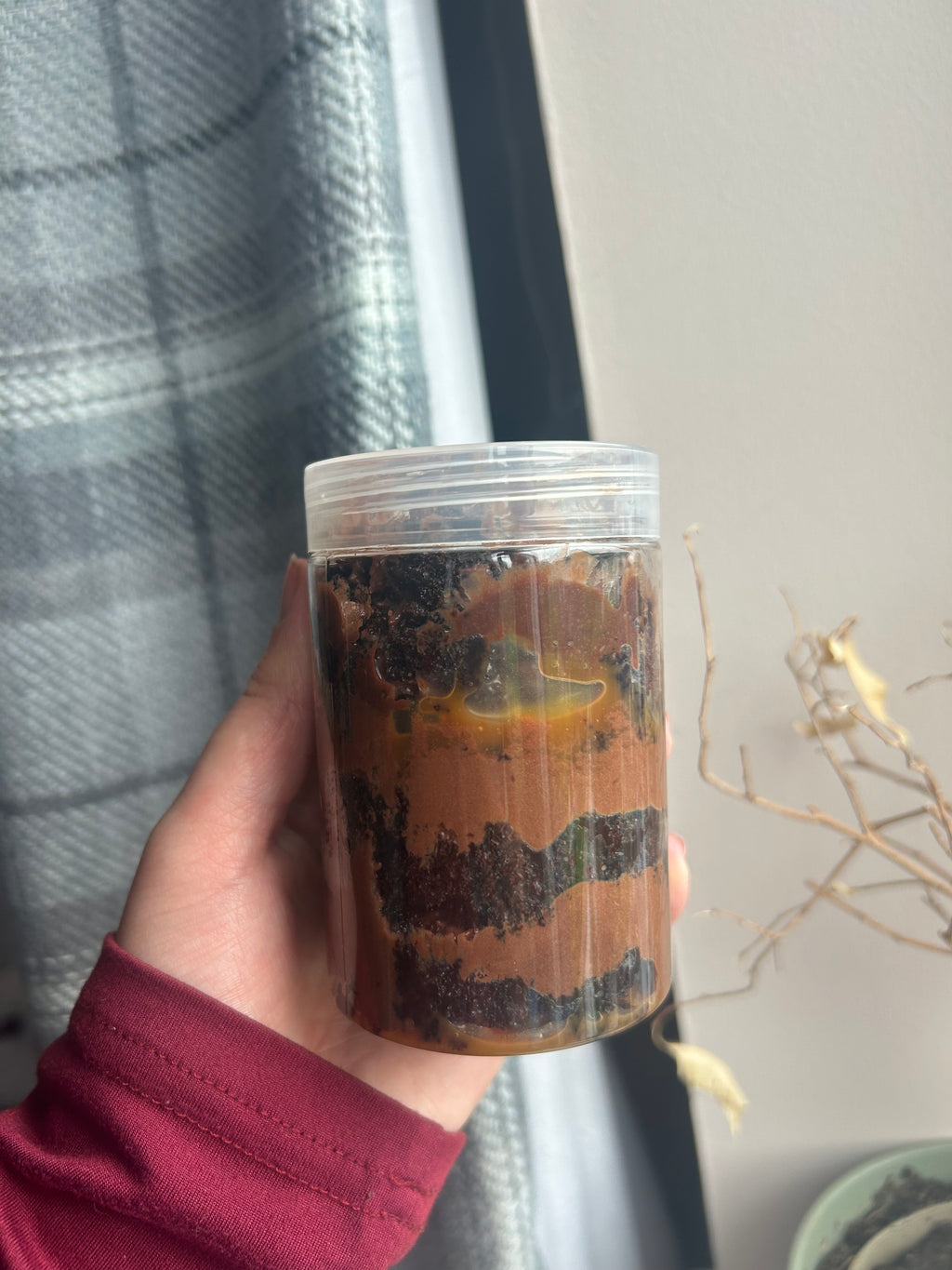 Chocolate cake tub
